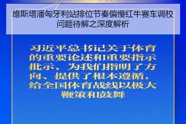 维斯塔潘匈牙利站排位节奏偏慢红牛赛车调校问题待解之深度解析